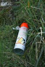 Auch das gehrt leider dazu: eine Spraydose neben dem Bahnsteig in Epesses im Gras gefunden (11. Marz 2009)