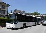 (276'591) - Eurobus, Arbon - Nr. 41/TG 239'027/PID 5330 - Mercedes (ex Nr. 14) am 13. Juni 2025 beim Bahnhof Escholzmatt