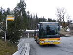 (274'176) - Flck, Brienz - Nr. 3/BE 568'700/PID 5426 - Setra am 24. April 2025 in Axalp, Sportbahnen