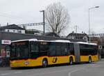 (269'792) - Hfliger, Sursee - Nr. 35/LU 207'948/PID 11'466 - Mercedes (ex Nr. 8; ex Eurobus, Arbon Nr. 8) am 10. Dezember 2024 beim Bahnhof Sursee