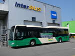 (276'501) - MBC Morges - Nr. 213/VD 571'800 - Mercedes am 9. Juni 2025 in Kerzers, Interbus