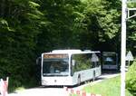 (276'105) - Welti-Furrer, Bassersdorf - Nr. 42/ZH 250'855 - Mercedes am 31. Mai 2025 am Uetliberg