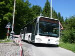 (276'106) - Welti-Furrer, Bassersdorf - Nr. 42/ZH 250'855 - Mercedes am 31. Mai 2025 am Uetliberg
