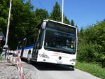 (276'107) - Welti-Furrer, Bassersdorf - Nr. 50/ZH 486'502 - Mercedes (ex Maag, Kloten Nr. 45) am 31. Mai 2025 am Uetliberg