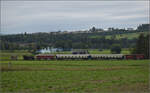 Der Museumszug der Sursee-Triengen-Bahn mit Tigerli E 3/3 8522 bei Geuensee. August 2024.