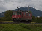 Auf der Schweizer Gäubahn.

Re 4/4 II 11299 unterwegs Richtung Oensingen. Oberbipp, Oktober 2024.