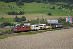 Re 4/4 II 11267 mit der Duolino 2 von Rhomberg-Sersa (40 85 9581 925-6 CH RSRM) und ihrem Materialwagen. Frick, August 2025.
