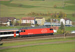 Sonnentag in Frick.

Re 460 086 'Ägerisee' mit einem IR nach Zürich. Frick, November 2024.