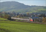 Sonnentag in Frick.

Re 460 086 'Ägerisee' mit einem IR nach Zürich. Frick, November 2024.