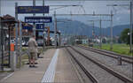 Ein IC mit Re 460 030 auf dem Weg nach Luzern. Brittnau-Wikon, August 2017.