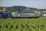 Re 475 428 aus der dritten Serie Vectronen für die BLS mit einem Autozug bei Hendschiken, Juni 2025.