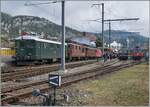 Unter vielen anderen  BoBo -Loks war in Balsthal auch die Re 4/4 I 10039 zu sehen. Die am 22. Dez. 1950 abgelieferte Loks gehört heute der Swiss Rail Traffic, welche sie als Re 416 628 von der Mittelthurgaubahn (MThB) übernommen hat. Vorgängig war die Re 4/4 I bei den SBB mit der heute noch angeschrieben Nummer 10039 im Einsatz und trug die verchromten Buchstaben SBB - CFF resp. SBB - FFS an den Seitenwänden.

14. Sept. 2024