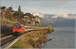 Ein Klassiker von der nun hin reichlich bekannten Fotostelle im Abendlicht: eine SBB Re 460 ist mit ihrem IR 90 bei St-Saphorin auf dem Weg nach Genève Aéroport. 

12. Nov. 2024