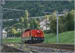 Die SBB Aem 940 025 kurz vor Villeneuve auf der Fahrt in Richtung St-Maurice. 

6. Sept. 2024