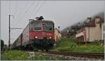 bei Ligerz auf dem letzten, kurzen noch verbliebenen Einspurabschnitt der Jurasüdfuss ist die SBB Re 4/4 II 11283 (Re 420 283-4) auf dem Weg in Richtung Biel/Bienne. 

8. Okt. 2025