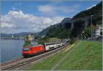 Eine SBB Re 460 schiebt eine aus Doppelstockwagen bestehenden IR 90 kurz nach Villeneuve in Richtung Lausanne. 

30. Juli 2025