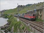 Mit zwei Re 6/6 bespannt ist zwischen Rivaz und St-Saphorin der EWKV SBB Cargo Güterzug von Lausanne Triage nach Zürich RBL via Brig und Kandersteg unterwegs. An der Zugsspitze führt die rote SBB Re 6/6 11630 (Re 620 91 85 4 620 030-7  ...