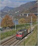 Die SBB Cargo Re 4/4 II 11243 (Re 420 243-8)  Wartung mit Durchblick  erreicht mit einem Güterzug den Bahnhof von Villeneuve. 

14. Nov. 2024