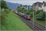 Die SBB Re 4/4 II 11341 (Re 420 341-7 ) ist mit einem kurzen Güterzug zwischen Burier und La Tour de Peilz auf der Fahrt in Richtung Lausanne. 

21. Juni 2024
