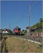 Die Tage der letzten verblieben Einspurstrecke zwischen Biel/Bienne und Lausanne sind gezählt: Bei Ligerz wird die Strecke auf Doppelspur ausgebaut, und dazu in eine Tunnel verlegt. Hier schon recht nahe an der Baustelle zeigt sivh ausganhs Ligerz die SBB Re 6/6 11669 (Re 620 069-5)  Hägendorf  als Lokzug auf der Fahrt in Richtung Biel/Bienne.
 

11. Juli 2025