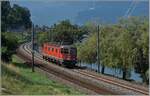 In rechte gepflegtem rot zeigt sich die SBB Re 6/6 11637 (Re 620 037-2)  Sonceboz-Sombeval  kurz nach Villeneuve als Lokzug auf der Fahrt in Richtung Lausanne.

30. Juni 2025