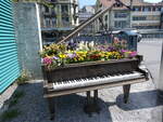 (273'774) - Flgel mit Blumen am 9. April 2025 beim Guisanplatz in Thun