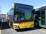 (275'701) - PostAuto Bern - BE 560'403/PID 11'936 - Solaris am 18. Mai 2025 in Kerzers, Interbus
