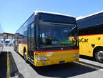 (277'303) - PostAuto Wallis - Nr. 11/PID 5152 - Mercedes am 28. Juni 2025 in Kerzers, Interbus