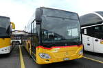 (278'094) - CarPostal Ouest - VD 604'392/PID 11'487 - Mercedes am 27. Juli 2025 in Kerzers, Interbus