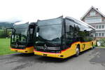 (278'021) - PostAuto Ostschweiz - PID 12'201 - eMercedes am 25. Juli 2025 in Nesslau, Altherr