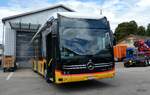 (279'534) - PostAuto Ostschweiz - SG 499'212/PID 12'132 - eMercedes am 29. August 2025 in Nesslau, Altherr