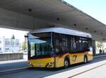 (276'863) - Eurobus, Arbon - Nr. 19/TG 18'880/PID 11'795 - eSolaris (ex Mattli, Wassen; ex PostAuto Bern BE 90'275; ex PostAuto Bern BE 610'546) am 17. Juni 2025 in Arbon, Bushof