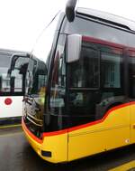 (273'385) - AutoPostale Ticino - (620'650) - eMercedes am 29. Mrz 2025 in Winterthur, Daimler Buses (Teilaufnahme)