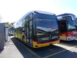 (273'877) - AutoPostale Ticino - PID 12'115 - eMercedes am 12. April 2025 in Winterthur, Daimler Buses