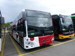 (274'612) - TPF Fribourg - (620'318) - Mercedes am 3. Mai 2025 in Winterthur, Daimler Buses