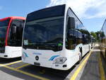 (276'128) - Schneider, Ermenswil - (621'426) - Mercedes am 31. Mai 2025 in Winterthur, Daimler Buses