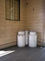 Milchkannen gehrten frher zum lndlichen Bahnverkehr, heute sind sie kaum mehr zu sehen. Und so zeigt auch dieses Bild vom Sommer 2008 nicht ein echten Milchkannentransport, sondern ein mit viel Liebe gestaltetes Detail der Blonay - Chamby Museumsbahn. 