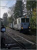 La DER de la Saison 2024! Bei Gegenlicht verlässt der LLB ABFe 2/4 10 der Blonay-Chamby Bahn mit ihrem Zug nach in Blonay den Bahnhof von Chaulin.

27. Okt. 2024