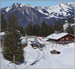 Ein Blick auf den Bahnhof von Winteregg mit zwei sich kreuzenden BLM Be 4/6. 

18. Februar 2025
