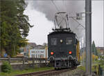 Das letzte Mal daheim in Schwarzenburg. 

BSB Ed 3/4 51 auf ihrer Heimstrecke, bevor sie wegen ETCS ein Hausverbot bekommt. Am Hälfeberg bei Lanzenhäusern zeigt sie, was in ihr steckt. Bei Steinhaus der Blick auf die wenigen PS Schubhilfe, die Rangiertraktor Te 2/2 155 der EBT bietet. Oktober 2025.