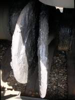 Auf den ersten Blick kaum als solches zu erkennen: Pufferteller des TGV Lyria (Lausanne, am 11.4.2009)