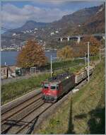 Die SBB Re 4/4 II 11243 (Re 420 243-8 ) 'Smile' erreicht mit ihrem Güterzug Villeneuve. 14. November 2024