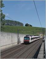 Ein SBB Domino ist als R13 von Yverdon nach Biel/Bienne unterwegs und hat soeben den Halt Concise verlassen. Die hier zu sehende Doppelspurige Streckenführung löste am 20. April 2001 die ursprüngliche Einspurstrecke von 7. Nov. 1859 ab. 

5. Juli 2025