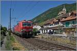 Bei Ligerz, auf dem letzten noch verblieben Einspurabschnitt der Strecke 210 Lausanne - Biel/Bienne sind die DB 193 350 und eine WRS 475 mit einem Kesselwagengazzug auf dem Weg in Richtung Biel/Bienne. 

11. Juli 2025