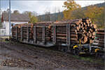 Snps-Holztransportwagen mit der Kennung 31 85 4723 139-5 CH-SBBC in Les Verrières. Oktober 2025.