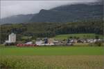Auf der Schweizer Gubahn.

Am 843 095 unterwegs Richtung Oensingen. Niederbipp, Oktober 2024.