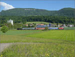 150 Jahre Emmentalbahn.

Eb 2/4 35 der Jura-Simplon fhrt zum Jubilumsfest. Bei Niederbipp geht es durch bunte Blumenwiesen. Schubhilfe leistet ungewhnlicherweise Ee 3/3 153. Mai 2025.