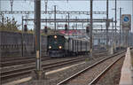 Sonderfahrt mit Be 4/4 102 der Emmentalbahn nach Brugg. 

Durchfahrt in Rothrist. November 2025.