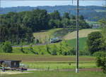 Mika RABe 528 223 auf dem Weg nach Bern. Tägertschi, Mai 2025.