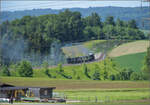 150 Jahre Emmentalbahn. Vierfachtraktion auf Gleisen der Bernischen Staatsbahn.

Zum Abschluss das Fest mit allen vier momentan betriebsfähigen Dampfloks der Dampfbahn Bern. E 3/3 853 der Jura-Simplon-Bahn, Ed 3/3 3 'Langnau' der Emmentalbahn, E 3/3 1 'Lise'des Gaswerks Bern und Ed 3/4 51 der Bern-Schwarzenburg-Bahn. Mit mächtigem Pfeifkonzert und unübersehbarer Rauchwolke nähert sich das ungewöhnliche Gespann Worb... Das Schwarze Bähnli? Tägertschi, Mai 2025.